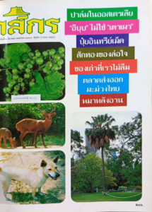 กสิกร ปีที่ 67 ฉบับที่ 2 มีนาคม – เมษายน 2537