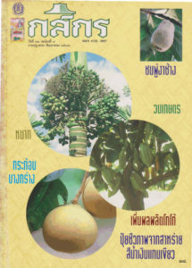 กสิกร ปีที่ 66 ฉบับที่ 4 กรกฏาคม – สิงหาคม 2536