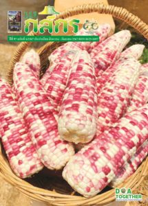 กสิกร ปีที่ 97 ฉบับที่ 6/2567 สิงหาคม – กันยายน 2567