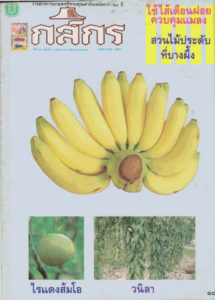 กสิกร ปีที่ 65 ฉบับที่ 3 พฤษภาคม – มิถุนายน 2535