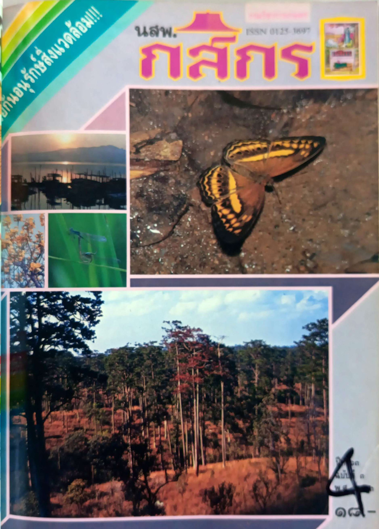 กสิกร ปีที่ 63 ฉบับที่ 3 พฤษภาคม – มิถุนายน 2533