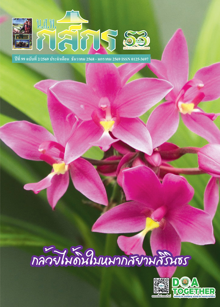 กสิกร ปีที่ 99 ฉบับที่ 2/2569 ธันวาคม 2568 – มกราคม 2569