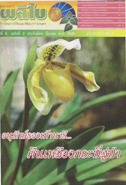 จดหมายข่าวผลิใบ ปีที่ 8 ฉบับที่ 2 มีนาคม 2548