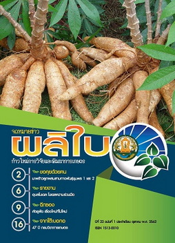 จดหมายข่าวผลิใบ ปีที่ 22 ฉบับที่ 1 ตุลาคม 2562