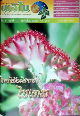 จดหมายข่าวผลิใบ ปีที่ 7 ฉบับที่ 9 ตุลาคม 2547