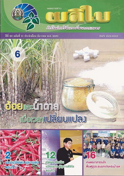 จดหมายข่าวผลิใบ ปีที่ 20 ฉบับที่ 11 ธันวาคม 2560