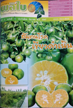 จดหมายข่าวผลิใบ ปีที่ 7 ฉบับที่ 11 ธันวาคม 2547