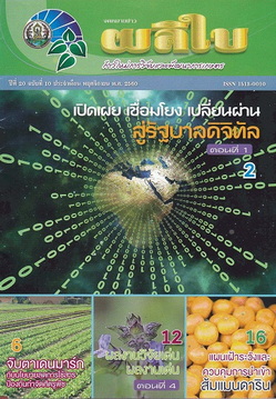 จดหมายข่าวผลิใบ ปีที่ 20 ฉบับที่ 10 พฤศจิกายน 2560