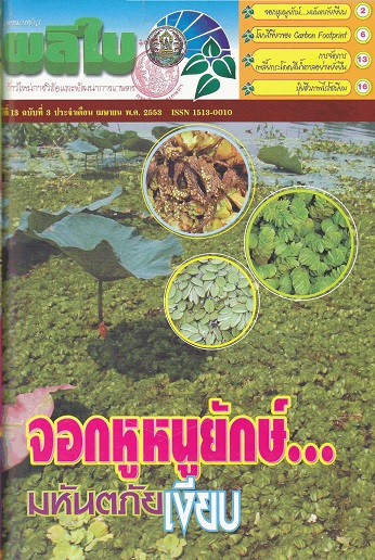 จดหมายข่าวผลิใบ ปีที่ 13 ฉบับที่ 3 เมษายน 2553