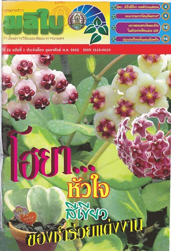 จดหมายข่าวผลิใบ ปีที่ 12 ฉบับที่ 1 กุมภาพันธ์ 2552