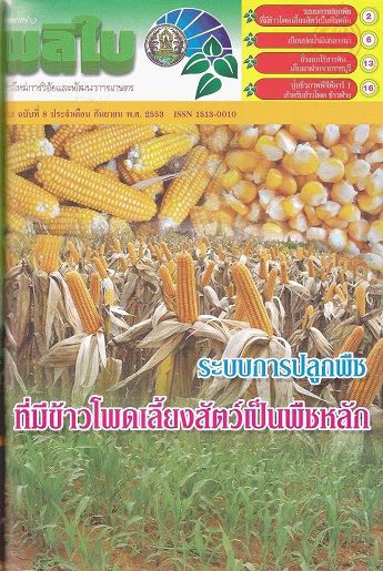 จดหมายข่าวผลิใบ ปีที่ 13 ฉบับที่ 8 กันยายน 2553