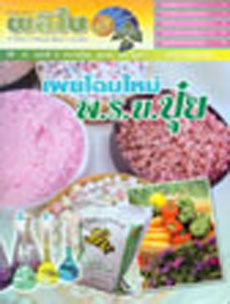 จดหมายข่าวผลิใบ ปีที่ 10 ฉบับที่ 9 ตุลาคม 2550