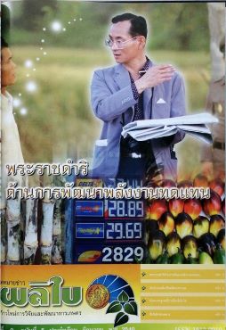 จดหมายข่าวผลิใบ ปีที่ 8 ฉบับที่ 5 มิถุนายน 2548