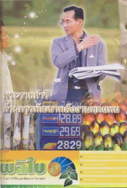 จดหมายข่าวผลิใบ ปีที่ 9 ฉบับที่ 5 มิถุนายน 2549