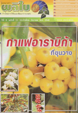 จดหมายข่าวผลิใบ ปีที่ 6 ฉบับที่ 11 ธันวาคม 2546