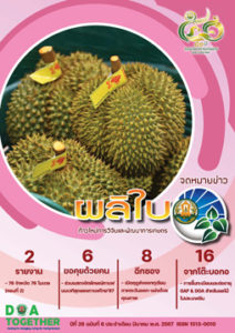 จดหมายข่าวผลิใบ ปีที่ 26 ฉบับที่ 6 มีนาคม 2567