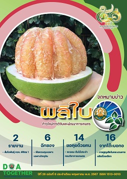 จดหมายข่าวผลิใบ ปีที่ 26 ฉบับที่ 8 พฤษภาคม 2567