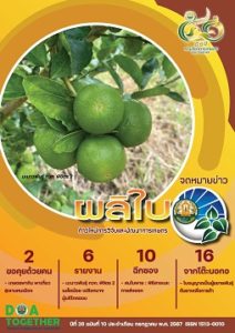 จดหมายข่าวผลิใบ ปีที่ 26 ฉบับที่ 10 กรกฎาคม 2567