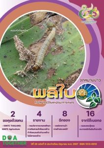 จดหมายข่าวผลิใบ ปีที่ 26 ฉบับที่ 9 มิถุนายน 2567