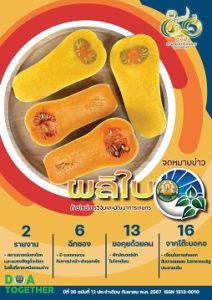 จดหมายข่าวผลิใบ ปีที่ 26 ฉบับที่ 12 กันยายน 2567