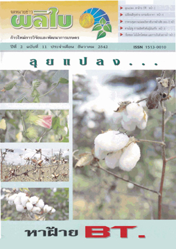 จดหมายข่าวผลิใบ ปีที่ 2 ฉบับที่ 11 ธันวาคม 2542