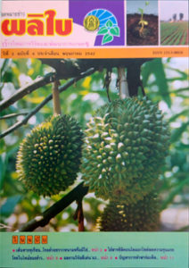 จดหมายข่าวผลิใบ ปีที่ 2 ฉบับที่ 4 พฤษภาคม 2542