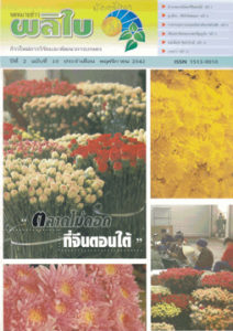 จดหมายข่าวผลิใบ ปีที่ 2 ฉบับที่ 10 พฤศจิกายน 2542