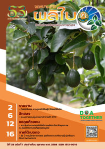 จดหมายข่าวผลิใบ ปีที่ 28 ฉบับที่ 1 ตุลาคม 2568