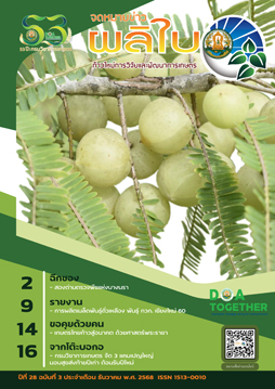 จดหมายข่าวผลิใบ ปีที่ 28 ฉบับที่ 3 ธันวาคม 2568