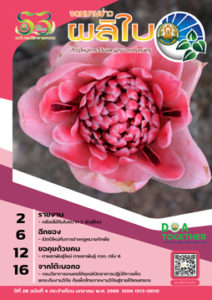 จดหมายข่าวผลิใบ ปีที่ 28 ฉบับที่ 4 มกราคม 2569